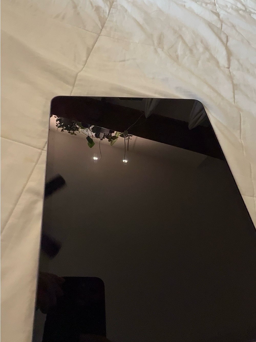 IPAD 12,9 256g dark grey 800$ + case.
